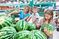 Mom with kids choose watermelon at grocery store Royalty Free Stock Photo