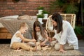 Mom and kids play squirl jenga tower. Woman girl and boy play family puzzle game. Family day off.