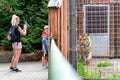 Mom and kids standing in front of tiger in cage and making photos in zoo