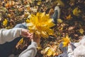 Mom and little daughter are sitting in a meadow in the autumn forest and weaving a wreath of yellow leaves