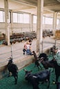 Mom and a little girl are sitting near the fence of the paddock and feeding a goatling Royalty Free Stock Photo