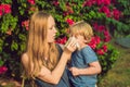 Mom looks at his son who is allergic to pollen Royalty Free Stock Photo