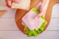 Mom makes a sandwich for school lunch Royalty Free Stock Photo