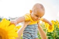 Mom raised the baby boy over sunflowers in the field and he smiles at her Royalty Free Stock Photo