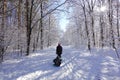 Mom rolls her little son on tubing in the Park in the winter. Happy family outdoors. winter fun for young children Royalty Free Stock Photo