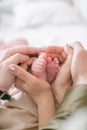 Mom`s and father hands are holding little cute legs of a newborn baby at home on a white bed Royalty Free Stock Photo