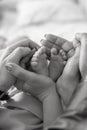 Mom`s and father hands are holding little cute legs of a newborn baby at home on a white bed Royalty Free Stock Photo