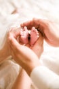 Mom`s and father hands are holding little cute legs of a newborn baby at home on a white bed. Royalty Free Stock Photo