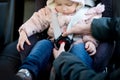 Mom`s hands fasten the child in the car seat Royalty Free Stock Photo