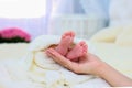 Mom`s hands hold the small legs of her newborn baby, wrapped in a white warm blanket Royalty Free Stock Photo