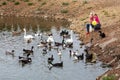 Mom with a small daughter feed ducks in a pond