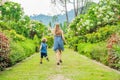 Mom and son are running around in the blooming garden. Happy family life style concept Royalty Free Stock Photo