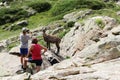 Mom and son taking a close picture of a steinbock during summer mountain holidays