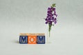 Mom spelled with alphabet blocks Royalty Free Stock Photo