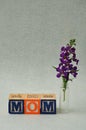 Mom spelled with alphabet blocks Royalty Free Stock Photo