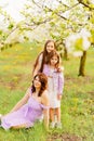 mom and two daughters. A family in a blossoming spring garden. Royalty Free Stock Photo