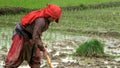 Mom working at field