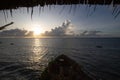 coast kenya mombasa, sunrise at sea. Indian ocean at sunrise, palm trees and a view to the horizon. Beautiful morning at the beach Royalty Free Stock Photo