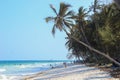 Diani Beach Indian Ocean Beach - palm trees, turquoise water