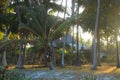 Resort on the shores of the Indian Ocean, Diani Beach, Mombasa, Africa Royalty Free Stock Photo