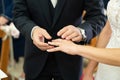 the moment of exchanging rings during the wedding Royalty Free Stock Photo