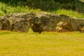 A moment in a park with an old wall