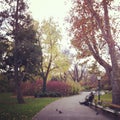 A moment of Romance in Stadtpark,Vienna