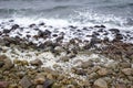 Mommark Strand coast beach in the Winter - Denmark Royalty Free Stock Photo