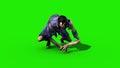 Momo Girl Possessed Green Screen Walkcycle Horror Loop 3D Rendering Animation