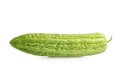 Momordica charantia isolated on white background with clipping path, Bitter melon, Chinese gourd Royalty Free Stock Photo