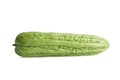 Momordica charantia isolated on white background with clipping path, Bitter melon, Chinese gourd Royalty Free Stock Photo