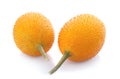 Momordica fruit on white background Royalty Free Stock Photo