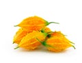 Momordica or karela Royalty Free Stock Photo
