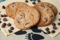 Moms heavenly chocolate chip cookies made with vanilla pudding Royalty Free Stock Photo