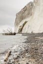 Mon, Denmark - white cliffs Royalty Free Stock Photo