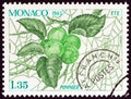 MONACO - CIRCA 1983: A stamp printed in Monaco from the `The Four Seasons of the Apple Tree` issue shows Summer, circa 1983.