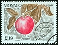 MONACO - CIRCA 1983: A stamp printed in Monaco from the `The Four Seasons of the Apple Tree` issue shows Autumn, circa 1983.