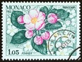 MONACO - CIRCA 1983: A stamp printed in Monaco from the `The Four Seasons of the Apple Tree` issue shows Spring, circa 1983.