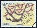 MONACO - CIRCA 1983: A stamp printed in Monaco from the `The Four Seasons of the Apple Tree` issue shows Winter, circa 1983.