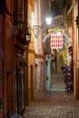 View of night illuminated street of Monaco town, Europe