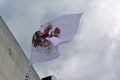 Monaco flag badge and coat of arms