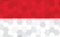 Monaco flag illustration. Futuristic Monegasque flag graphic with abstract hexagon background vector. Monaco national flag
