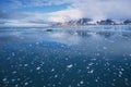 Monaco Glacier