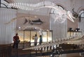 Monaco - June 23, 2019: Visitors in the Oceanographic Museum of Monaco