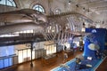 Monaco - June 23, 2019: Visitors in the Oceanographic Museum of Monaco