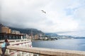 Monaco landscape with a girl looking at seagull Royalty Free Stock Photo