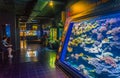 MONACO, MONACO, JUNE 14, 2017: Tourists are watching an aquarium inside of the oceanographic museum in Monaco Royalty Free Stock Photo