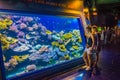 MONACO, MONACO, JUNE 14, 2017: Tourists are watching an aquarium inside of the oceanographic museum in Monaco Royalty Free Stock Photo