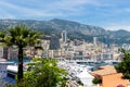 Monaco panorama with palm Royalty Free Stock Photo