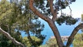 Monaco Prince Palace views. Royalty Free Stock Photo